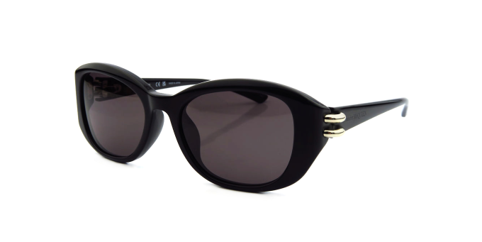 0470SA col.001 54 A.McQueen с/з